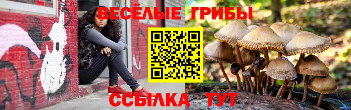 Галлюциногенные грибы Cubensis Ефремов