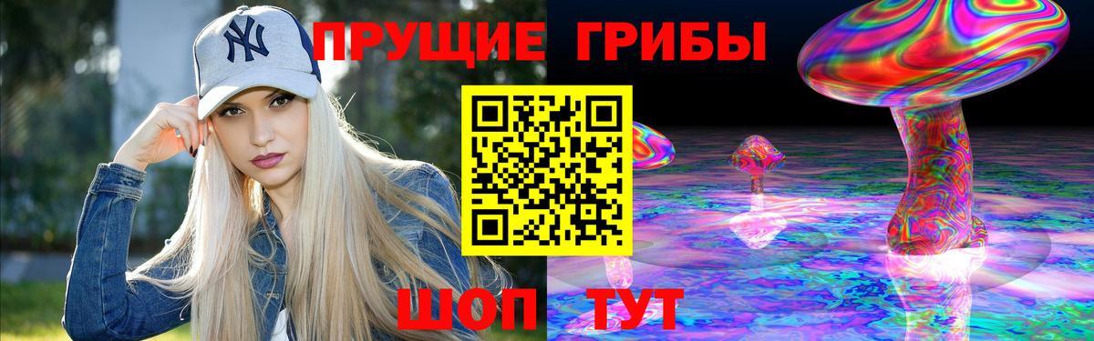 Псилоцибиновые грибы прущие грибы  Вход с VPN  Ефремов 